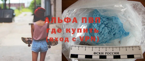 гашик Арсеньев