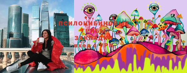 ешки Аркадак