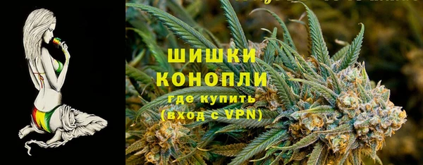 гашик Арсеньев