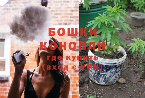 гашик Арсеньев
