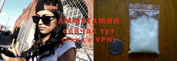 ешки Аркадак